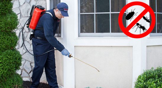 Eceabat Fare İlaçlama böcek ilaçlama ve haşere kontrolü — ilaclama-tr.com